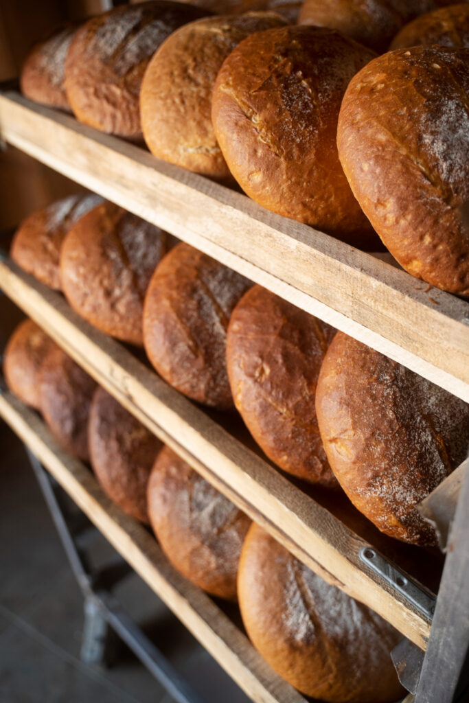 Central Flequera: tradició, ofici i qualitat al servei dels professionals d’Andorra

A Central Flequera fa dècades que treballem amb una idea molt clara: oferir a fleques, pastisseries, cafeteries, restaurants i hotels d’Andorra productes i solucions de màxima qualitat, seleccionats amb criteri i amb un coneixement profund del sector. Som una empresa amb història, amb arrels i amb un saber fer que només dona l’experiència i la passió per l’ofici.

Des dels nostres inicis, hem apostat per una línia molt definida: producte excel·lent, servei acurat i confiança absoluta. I avui, aquesta filosofia ens ha convertit en un referent per a centenars de professionals que busquen qualitat, regularitat i assessorament expert.

Especialistes en llevats, panificació i pastisseria

A Central Flequera som especialistes en llevats professionals, panificació i pastisseria. Seleccionem ingredients i matèries primeres que garanteixen resultats constants, aromes autèntiques i textures impecables.

Treballem amb farines d’alta gamma, masses mare, millorants, mantegues, cobertures, cremes, fruita seca, fruita confitada i tot allò que un obrador necessita per crear productes que marquin la diferència.

La nostra missió és clara: ajudar els professionals a oferir el millor pa i la millor pastisseria possible.

Solucions per a restaurants i hotels

El nostre catàleg també inclou una àmplia gamma de productes pensats per a restaurants, hotels i cafeteries, des de bases de pastisseria fins a masses, brioixeria, productes gourmet i solucions adaptades a cada tipus de cuina.

Acompanyem els professionals amb assessorament, recomanacions i un servei logístic ràpid i eficient a tot el Principat.

Distribuïdors exclusius de Cafès Novell a Andorra

Un dels nostres grans orgull és ser representant exclusius de Cafès Novell a Andorra. Novell és sinònim de qualitat, sostenibilitat i tradició cafetera. Oferim tota la gamma professional: "blends", ecològics, especialitat, càpsules compostables i solucions per a hostaleria.

Entre les joies del nostre catàleg hi trobem cafès d’origen com el Kenya Tatu Estate, amb notes de fruita deshidratada, toffee, moscatell i una frescor vibrant. Un cafè d’especialitat amb 89 punts que enamora des de la primera aroma.

Per als amants del cafè, també oferim el Pack Collection, una selecció exclusiva de sis cafès prèmium en tubs de disseny, ideal per regalar o per gaudir d’un ritual diari excepcional.

Una empresa amb ànima i futur

Central Flequera és molt més que un distribuïdor: és un soci de confiança per a tots els professionals que volen créixer, innovar i oferir producte de qualitat. Continuem evolucionant, ampliant catàleg i incorporant novetats que responen a les necessitats reals del sector.

Aquest blog neix amb la voluntat de compartir coneixement, tendències, novetats i inspiració. Benvinguts a la nova etapa de Central Flequera.

#CentralFlequera #Panificació #Pastisseria #CafèsNovell #QualitatProfessional