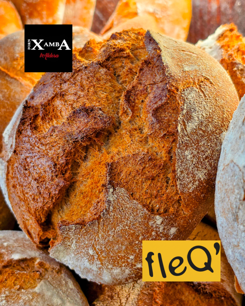 Amb els productes de CENTRAL FLEQUERA es crea: El pa que encara té gust de forn: Xamba Aldosa, l’essència del pa artesà. A Xamba Aldosa, a la Massana, el pa no és només un aliment: és un ofici, una tradició i una manera d’entendre la vida. Cada dia obrim el forn amb la mateixa filosofia de sempre: fer un pa completament natural, artesà i honest, tal com s’ha fet tota la vida. Aquí no hi ha presses, ni additius, ni trucs industrials. Només farines de qualitat, fermentacions lentes, llevats naturals i un saber fer que es transmet de generació en generació. El resultat? Un pa amb crosta cruixent, molla aromàtica, textura viva i aquell sabor profund que només s’aconsegueix quan es respecta el temps i el producte. Per què el pa de Xamba Aldosa és diferent? És 100 % natural: sense additius, sense millorants químics, sense artificis. És artesà de veritat: cada peça es treballa a mà, amb cura i dedicació. Fermentació lenta: més digestiu, més saborós i amb una conservació natural superior. Farines seleccionades: qualitat garantida en cada fornada. Aroma i sabor autèntics: el pa que recorda al de sempre, però amb l’excel·lència d’avui. Compromís amb el producte local: un forn que forma part del dia a dia de la Massana. Un pa que acompanya, que alimenta i que emociona A Xamba Aldosa no fem pa per omplir prestatges: fem pa per omplir taules, famílies i moments. El nostre forn és un punt de trobada, un lloc on el bon pa encara té gust de casa i on cada peça explica una història. Si vols saber més sobre el nostre procés, pots explorar: Com es fa un pa artesà Avantatges del pa natural Per què la fermentació lenta és millor A Xamba Aldosa, el pa no és només pa. És tradició, és qualitat i és orgull de forn. #FornXamba #Aldosa #CentralFlequera #PaArtesà #PaNatural