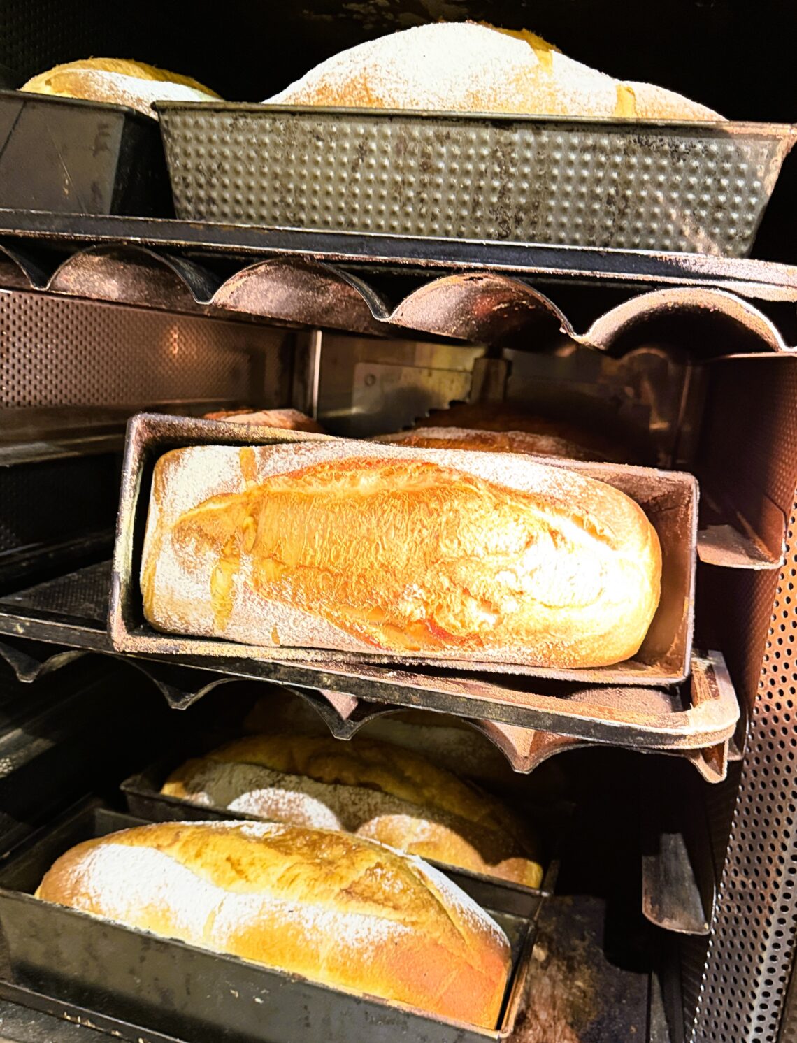 16 d'OCTUBRE - DIA MUNDIAL DEL PA 🥖🌍 Avui no celebrem un aliment. Celebrem un ofici. A Âme du Pain - Panes d'Autor, a Encamp, el pa no es fa, es crea. Amb massa mare viva, fermentacions lentes de 24-48 h, farines nobles i hores de respecte. Perquè cada pa té una realitat diferent. LA NOSTRA VARIETAL DE PA D'AUTOR: 🥖 Pa de Pagès de Massa Mare— L'icònic. Crosta cruixent, molla alveolada i sabor profund. El de cada dia, però com no l'has tastat mai. 🌾 Pa 100% Integral i de Sègol- Rústic, intens, ple de fibra i caràcter. Per als que busquen salut i veritat. 🌰 Pa de Nous, Figues i Mel— El nostre gormand. Perfecte amb formatges o sol. 🫒 Focaccia d'"AOVE" i Romaní i Pa d'Olives- Mediterrani, esponjós i perfumat. Per acompanyar L'Alternativa. 🍫 Brioixeria d'Autor— Croissants de mantega francesa, "pains au chocolat", "babka", pa esponjós tipus brioix o rolls que són una delícia. I això és només el començament. Avui ja pots venir a triar el TEU pa preferit directament a la nostra botiga d'Av. Príncep Benlloch, 14 - ENCAMP. Un projecte fet realitat amb el suport i l'ofici de Central Flequera, que ens permet portar el pa d'autor prèmium a tot Andorra, cada dia. Perquè el pa bo no és un luxe. És un dret. A Âme du Pain. T'esperem amb el forn encès i olor de pa calent. Pastisseria Forn Âme du Pain Av. Príncep Benlloch, 14, Encamp. #DiaMundialDelPa #WorldBreadDay #AmeDuPain #PaDAutor #PanesDeAutor #Encamp #Andorra #MassaMare #PaArtesa #FlecaArtesana #CentralFlequera #AndorraBusinessLovers #MadeInAndorra